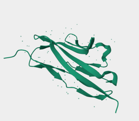Anti-Glycosylated TIGIT mAbs