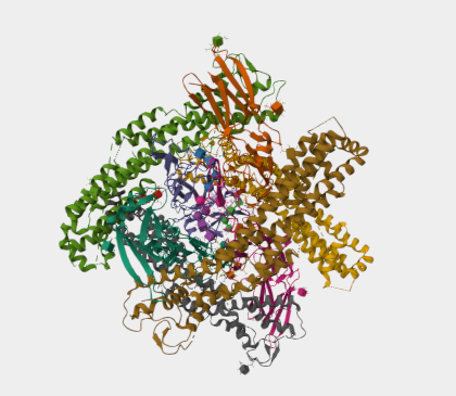 Anti-GPC3 mAbs