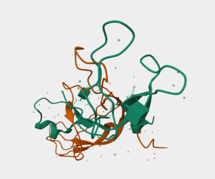 Anti-hCG subunit beta mAbs