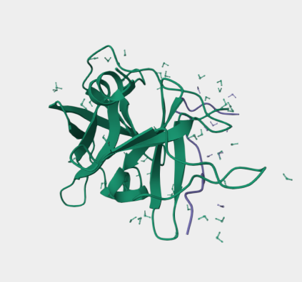 Anti-HCV envelope glycoprotein