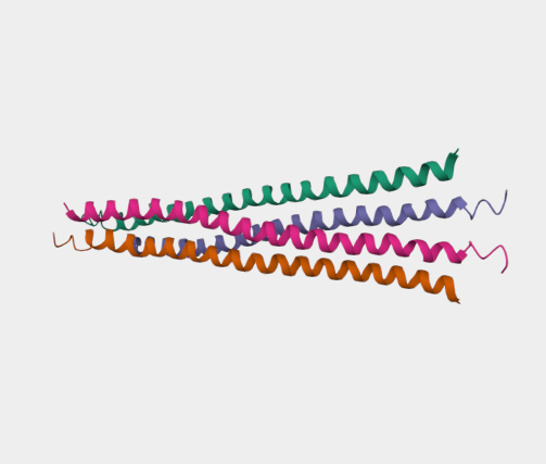 Anti-HDAC4 mAbs