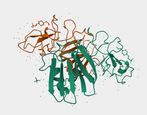 Anti-HGF mAbs