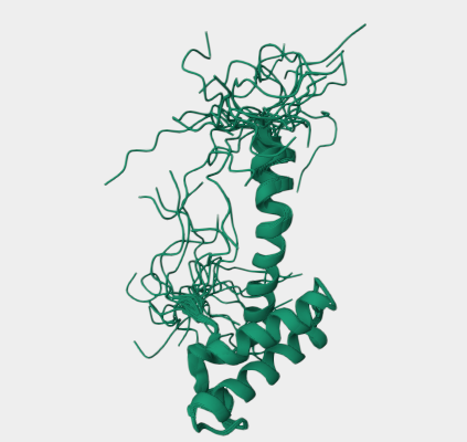 Anti-HNF1beta mAbs