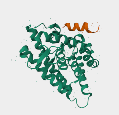 Anti-HNF4A mAbs