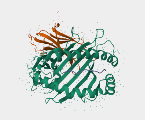 Anti-Human Glucagon Receptor m