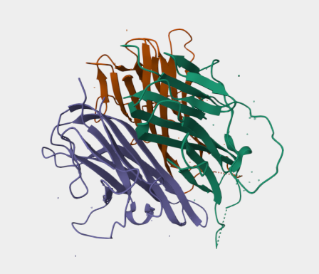 Anti-human TL1A mAbs