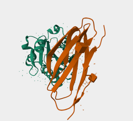 Anti-ICAM3 mAbs