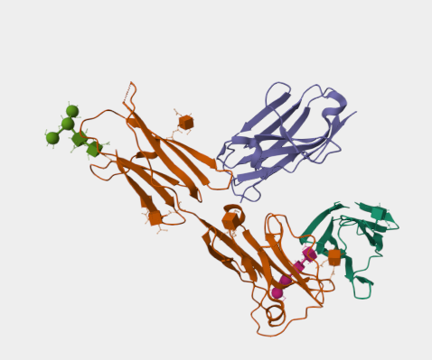 Anti-ICOS ligand mAbs