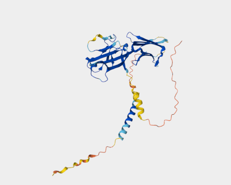 Anti-ICOSL mAbs
