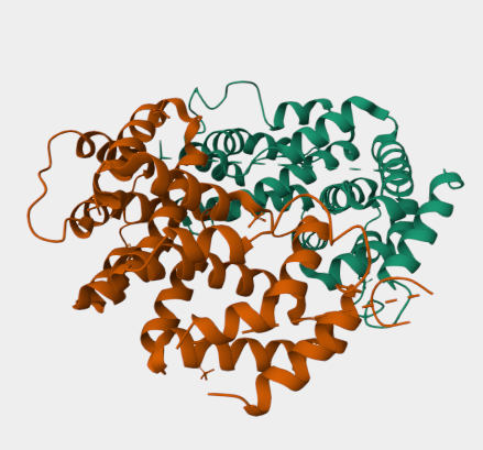 Anti-IFN-g mAbs