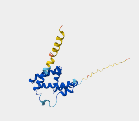 Anti-IFN-gamma mAbs