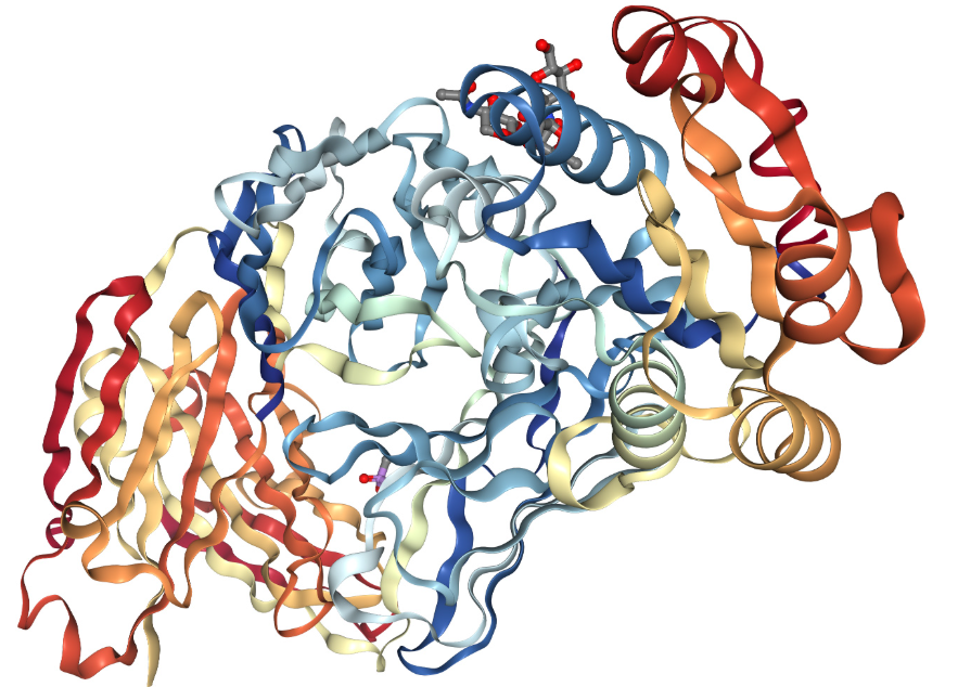 Anti-IgG2a/3 Fc mAbs