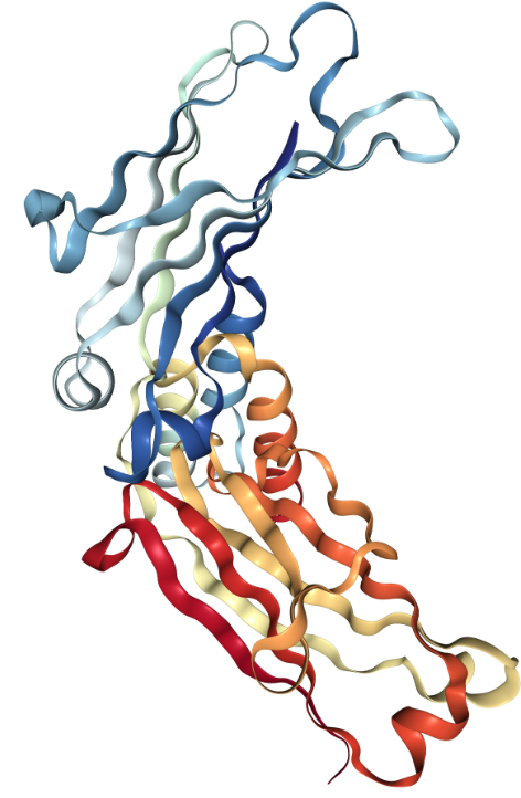 Anti-IgG3 mAbs
