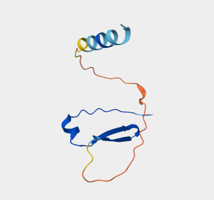 Anti-IgNAR mAbs