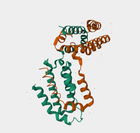 Anti-IL-10 mAbs