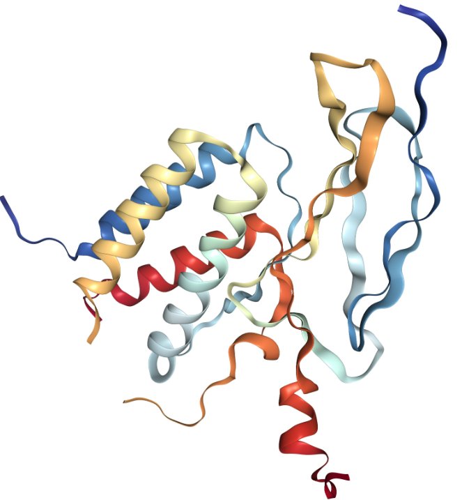 Anti-IL-15 mAbs