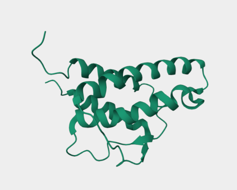 Anti-IL-4 mAbs