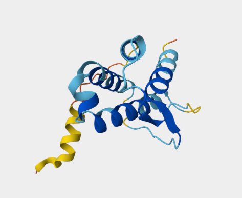 Anti-IL-4 mAbs