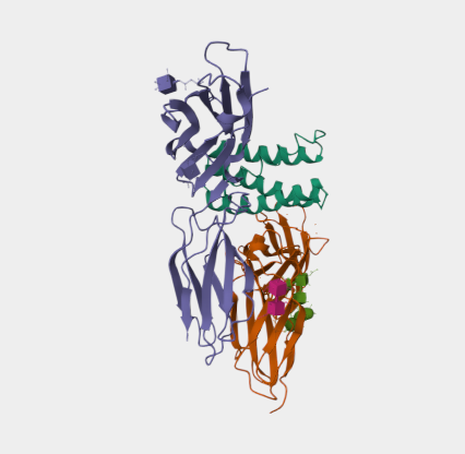 Anti-IL2R gamma C mAbs