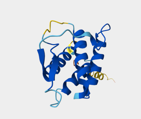 Anti-IL4 mAbs