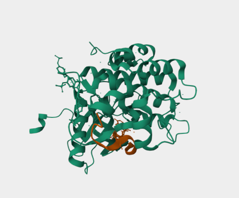 Anti-Insulin receptor alpha mA