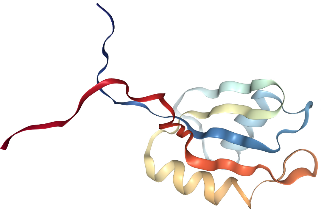Anti-Insulin-like growth   fac