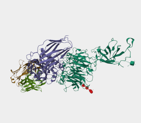 Anti-Integrin alpha 4 mAbs