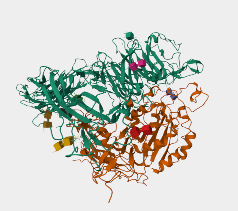 Anti-Integrin beta-3 mAbs