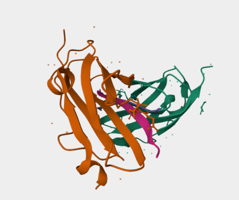 Anti-Integrin beta-7 mAbs