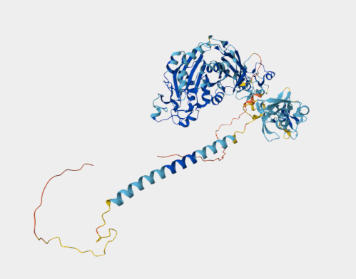Anti-Integrin beta-7 mAbs