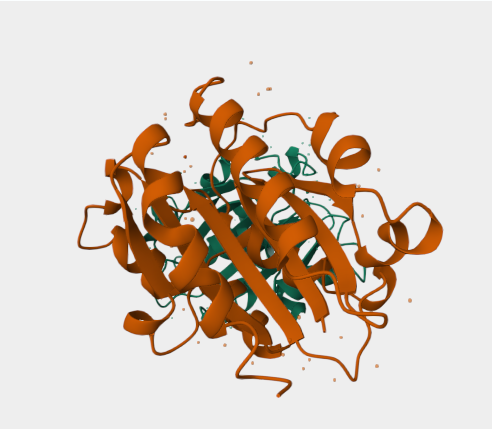 Anti-Integrin α-M mAbs
