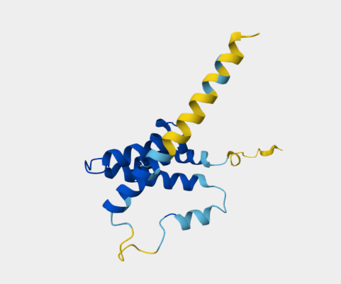 Anti-Interferon gamma mAbs