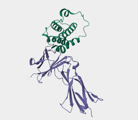 Anti-Interleukin 7 Receptor mA