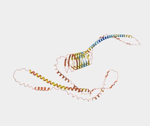 Anti-Involucrin mAbs