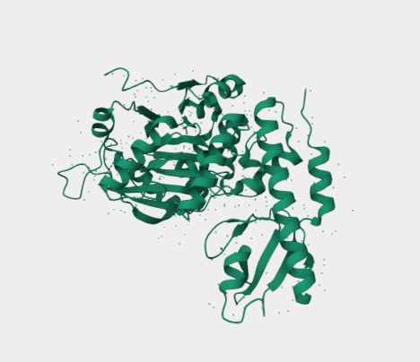 Anti-KDM6B mAbs