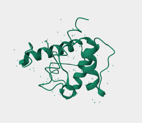 Anti-Kinetochore protein NDC80