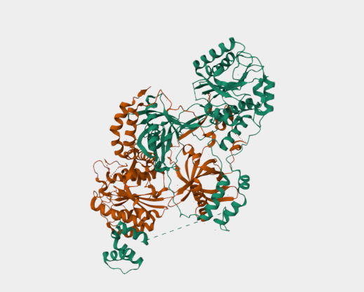 Anti-Ku protein mAbs