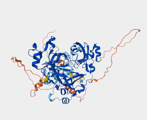 Anti-L3MBTL4 mAbs