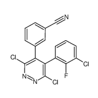 Anti-lambda light chain mAbs