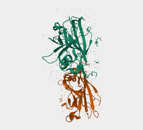 Anti-Laminin-2 LG5 mAbs