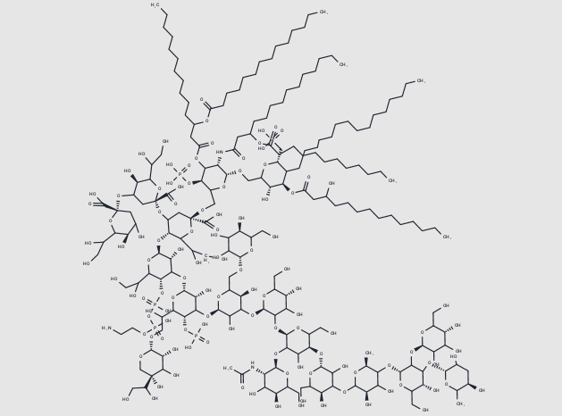 Anti-Lipopolysaccharide  mAbs