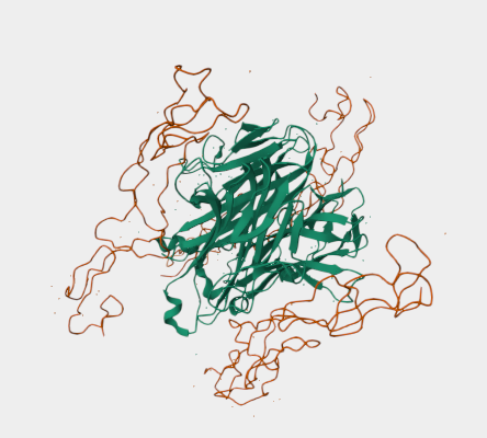 Anti-Lymphotoxin alpha mAbs