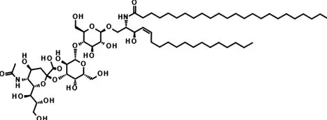 Anti-Lys–amidine-GM3g mAbs