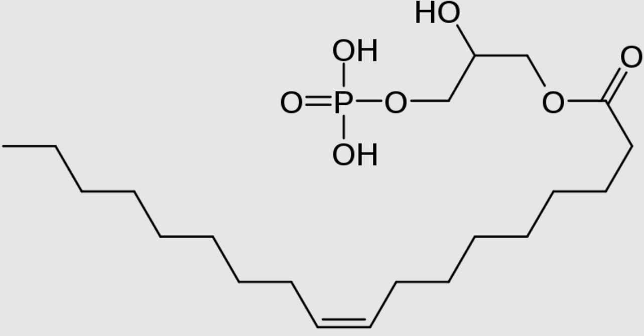 Anti-Lysophosphatidic acid mAb