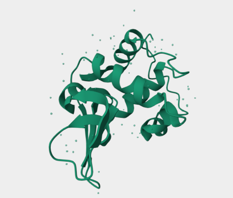 Anti-Lysozyme mAbs