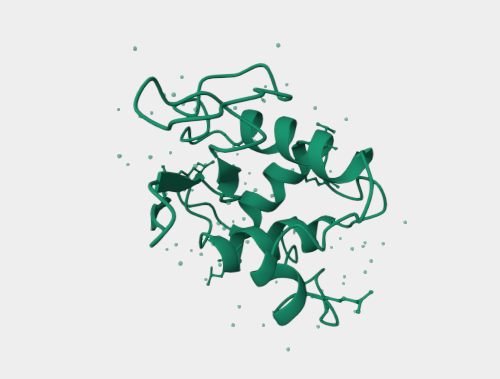 Anti-Lysozyme mAbs