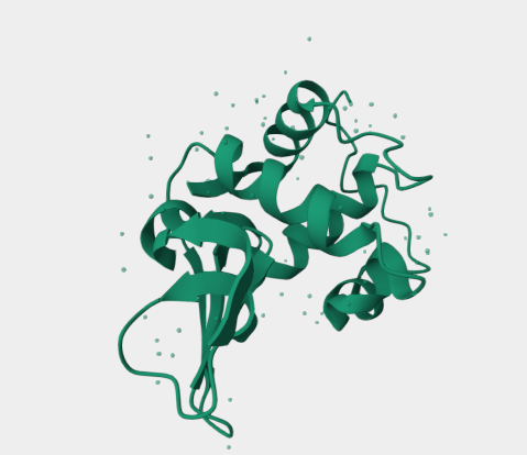 Anti-Lysozyme mAbs