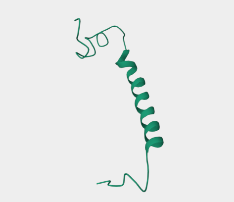 Anti-M protein, serotype 5 mAb