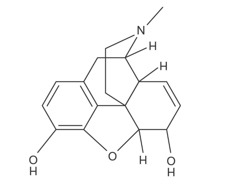 Anti-Morphine mAbs