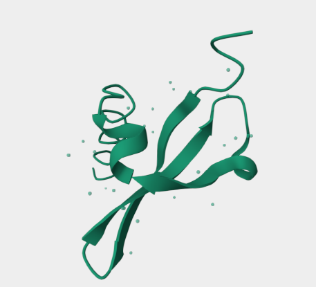 Anti-MPHOSPH8 mAbs